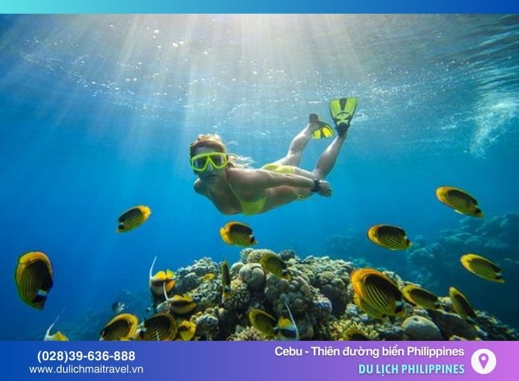 Lặn biển ở Moalboal Cebu