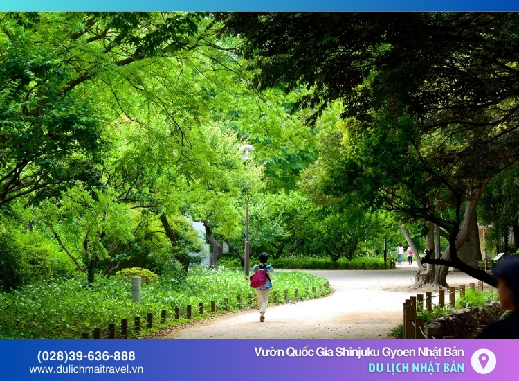 không khí trong lành của công viên với thảm cỏ xanh mướt và hoa nở rực rỡ.