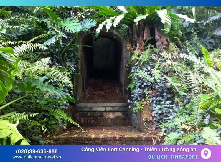 Cổng Sally: Nơi huyền bí giữa rừng cây và dấu tích pháo đài cổ