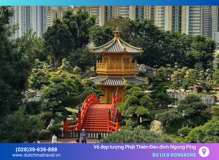 Đền Cát Cá – không gian tĩnh lặng, cầu nguyện và tìm bình an