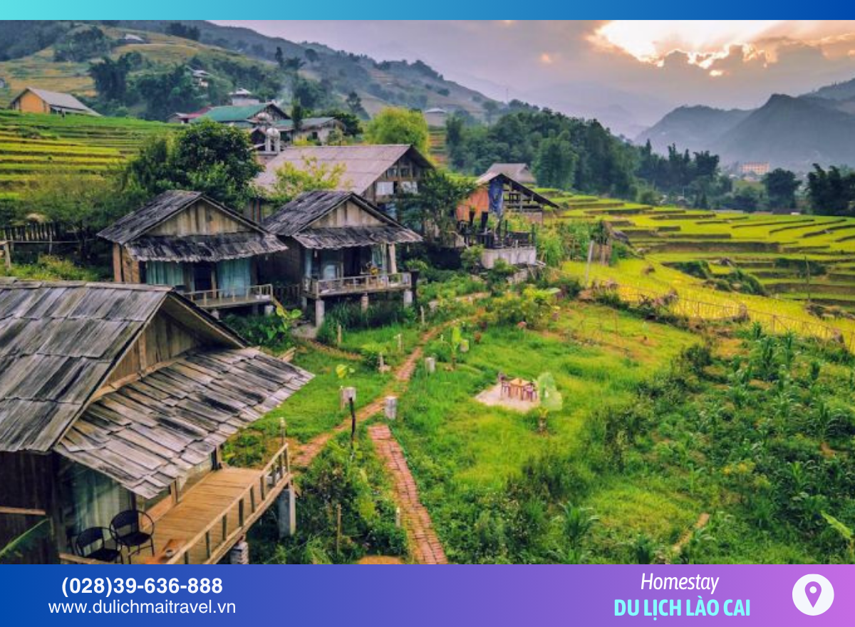 Homestay ở Bản Tả Van