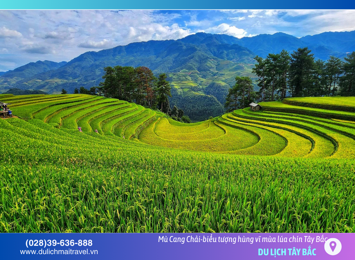 Ruộng bậc thang Mù Cang Chải