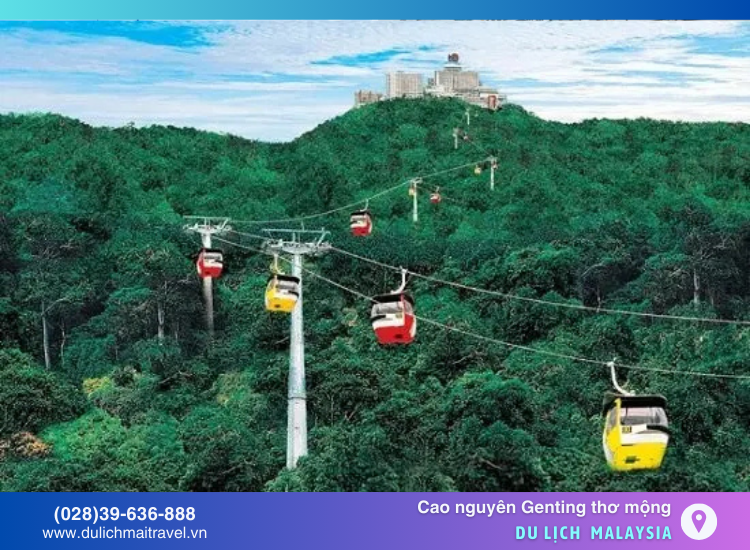 Chinh phục đỉnh cao, ngắm nhìn toàn cảnh tuyệt đẹp từ Cáp Treo Genting Skyway