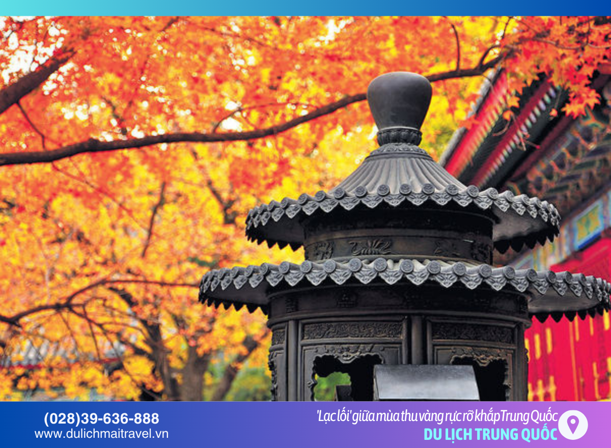 mien dong trung quoc