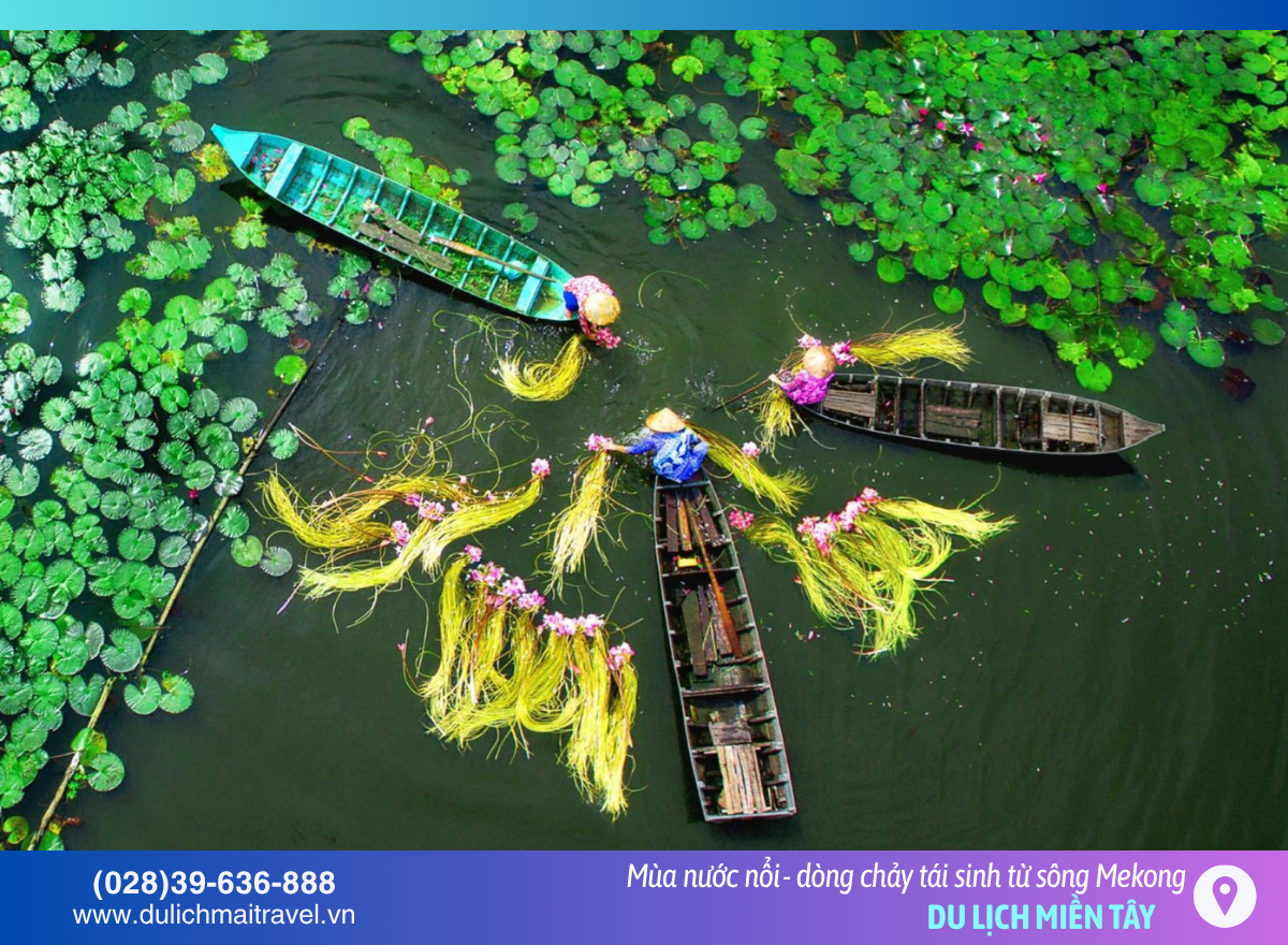 Mùa nước nổi ở Miền Tây