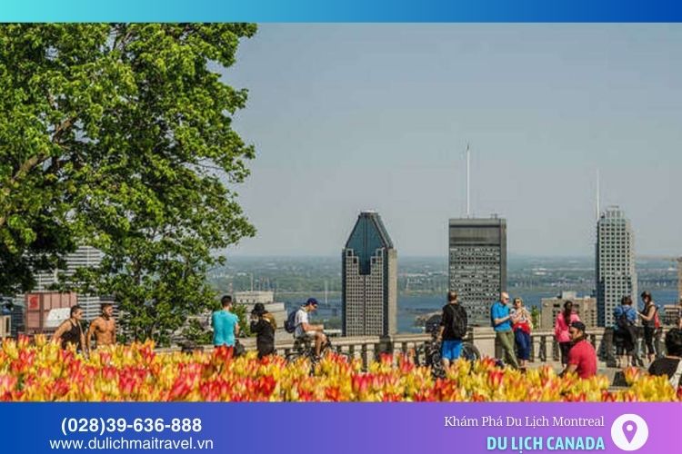 Mùa xuân ở Montreal ấm áp, lý tưởng để tận hưởng cảnh quan công viên, vườn hoa