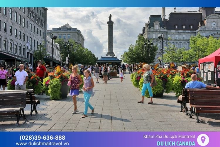 Quảng trường Jacques-Cartier ở Phố Cổ Montreal là một điểm đến sôi động với không khí lịch sử