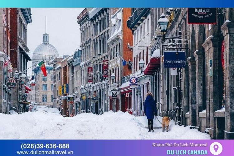 Mùa đông Montreal lạnh giá và tuyết rơi dày đặc