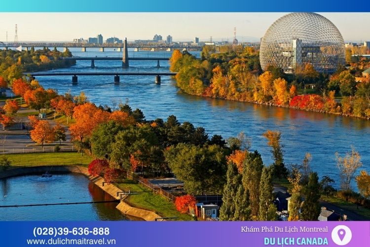 Mùa thu Montreal nổi bật với những tán lá phong chuyển sang sắc đỏ, vàng