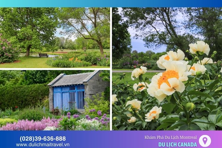 Vườn bách thảo Montreal với không gian yên bình và đẹp mắt