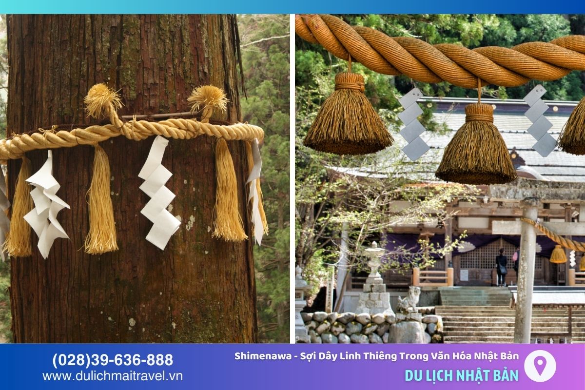 Shimenawa thường được treo trước cửa các đền thờ, các cây cổ thụ hoặc những địa điểm linh thiêng