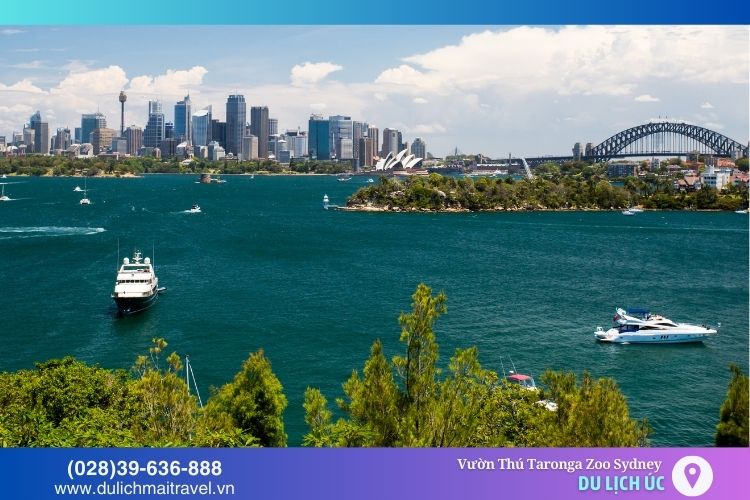 Taronga Zoo mang đến những trải nghiệm thú vị và cảnh quan tuyệt đẹp nhìn ra cảng Sydney