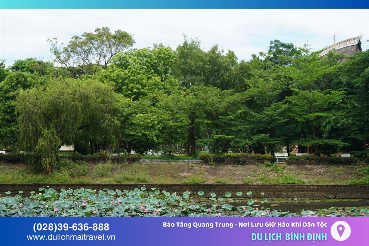 Khuôn viên xanh mát xung quanh bảo tàng tạo không gian thư giãn và chiêm ngưỡng thiên nhiên hài hòa