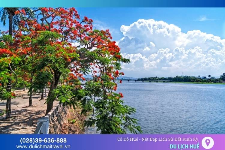 Sông Hương uốn lượn quanh cố đô mang vẻ đẹp đầy thơ mộng