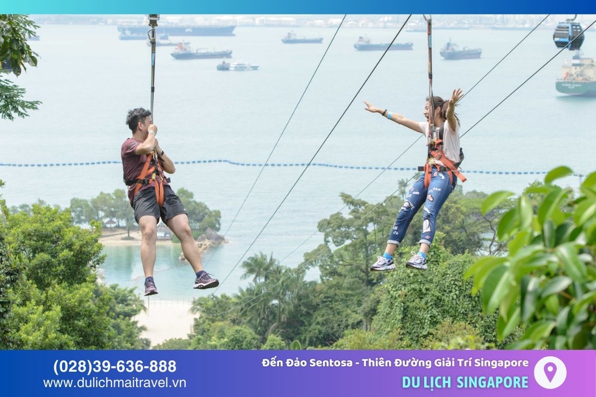 Công viên MegaZip Adventure Park với zipline mang lại cảm giác sảng khoái và phiêu lưu hấp dẫn
