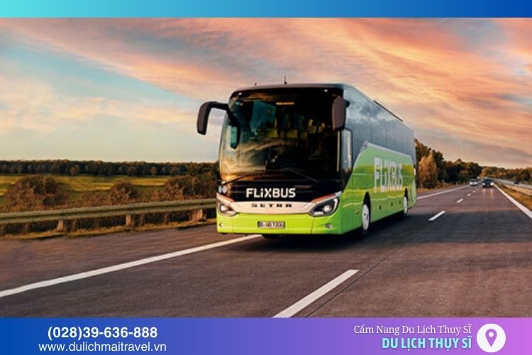 Xe buýt cũng là phương tiện di chuyển phổ biến trong thành phố