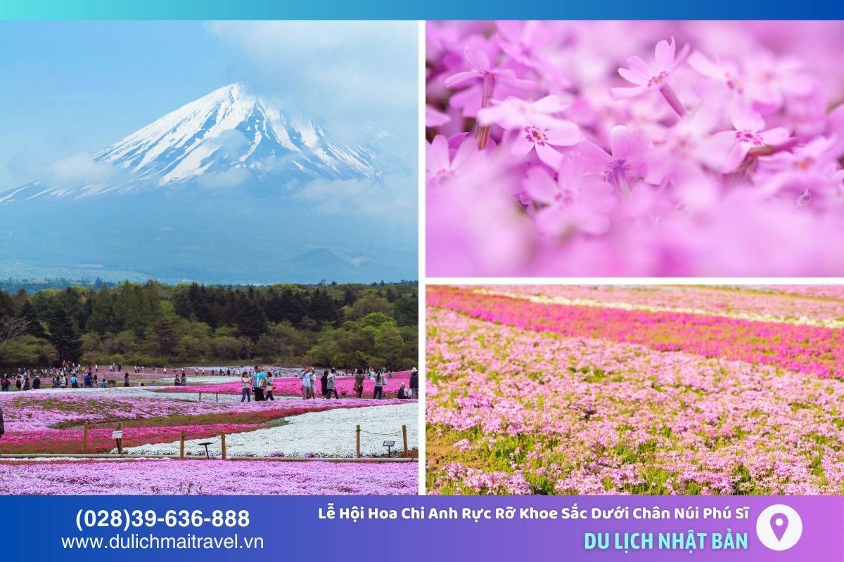 Chuẩn bị kỹ trước chuyến đi giúp bạn trải nghiệm một mùa lễ hội trọn vẹn