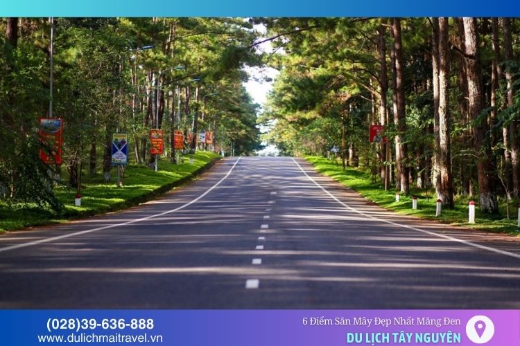 Măng Đen nổi tiếng với khí hậu mát mẻ và khung cảnh thiên nhiên hùng vĩ, thơ mộng