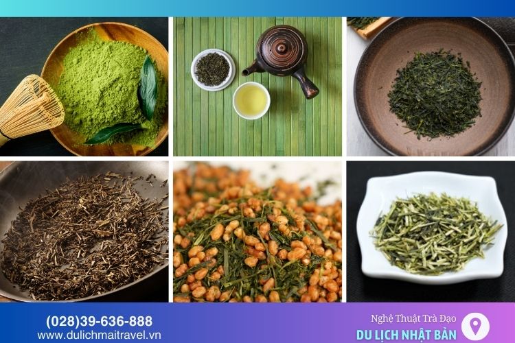 Các loại trà Nhật Bản như Matcha, Sencha, Gyokuro, Hojicha, Genmaicha, Kukicha mang hương vị và ý nghĩa đặc trưng trong trà đạo