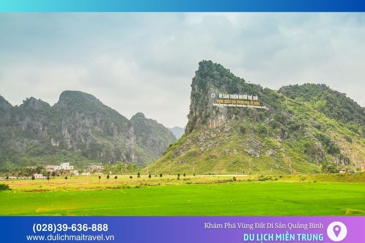 Vườn quốc gia Phong Nha - Kẻ Bàng là một trong những điểm đến nổi bật tại Quảng Bình