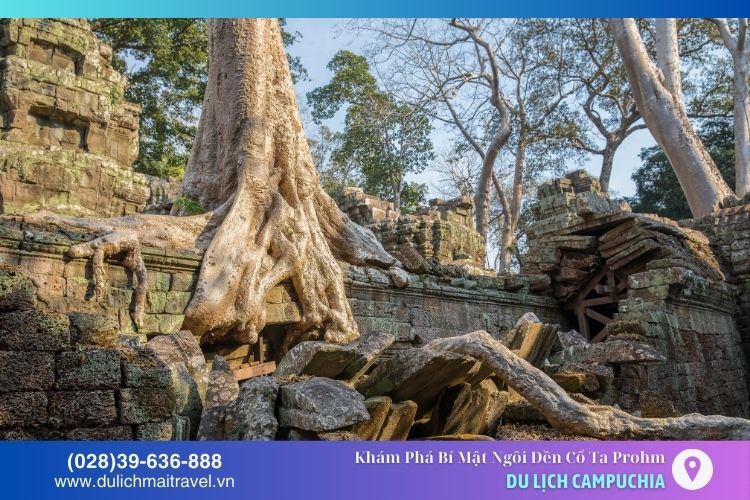 Hành lang đổ nát với tường đá nứt và rễ cây ôm lấy tạo nên không gian huyền bí