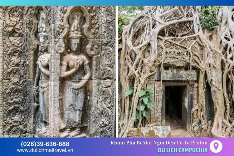 Đền Ta Prohm còn có những bức phù điêu trên các bức tường mô tả cảnh sinh hoạt và tín ngưỡng của người Khmer cổ