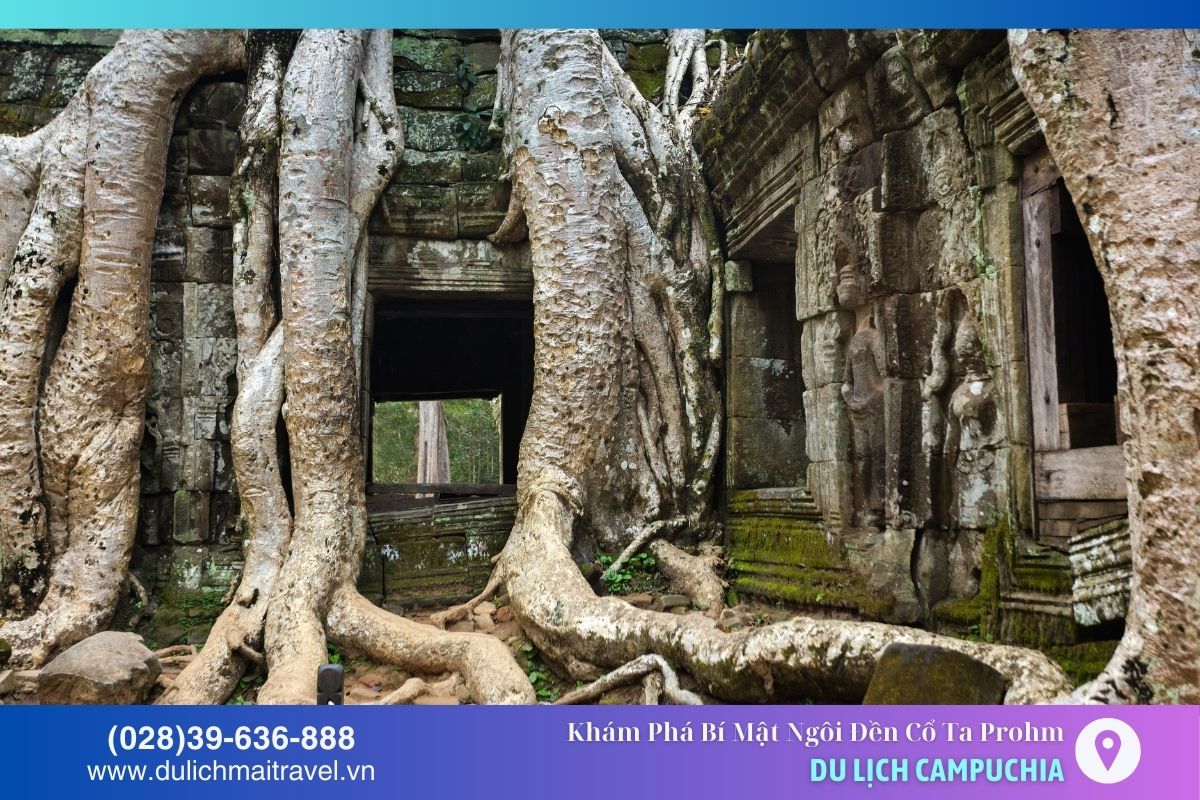 Đền Ta Prohm được xây dựng vào thế kỷ XII, nổi tiếng với cây cổ thụ bao phủ huyền bí