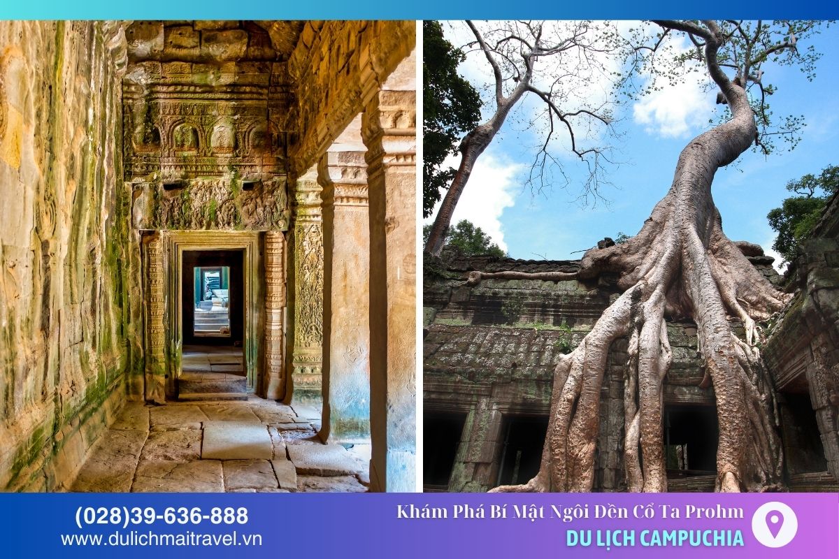 Đền Ta Prohm nổi bật với sự kết hợp kỳ diệu giữa thiên nhiên và kiến trúc cổ kính