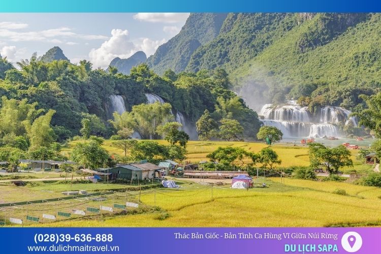 Mùa lúa chín tháng 9-10, thác Bản Giốc ngập tràn sắc vàng thơ mộng