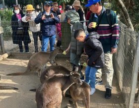 TOUR ÚC SYDNEY - MELBOURNE  6 NGÀY 5 ĐÊM 25/06/2023