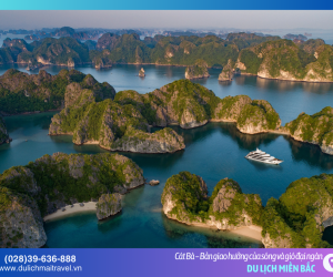 Nơi rừng gặp biển: Cát Bà – Điểm đến để chữa lành tâm hồn