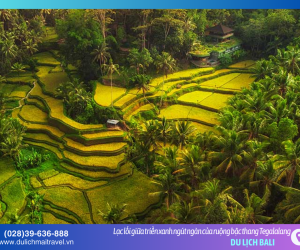 Tegalalang – nơi những đường cong của đất trời hòa quyện cùng mây gió