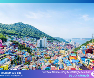 Làng Gamcheon: Nơi mỗi bức tường đều kể một câu chuyện cổ tích