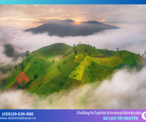 Đánh thức “nàng thơ” Chư Đăng Ya: Khi nham thạch triệu năm nở hoa dã quỳ vàng rực