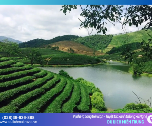 Đảo Chè Thanh Chương: Lạc giữa những ốc đảo xanh tròn trịa giữa lòng hồ thủy điện