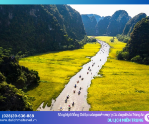 Sông Ngô Đồng – Bức tranh thủy mặc sống động của đại ngàn Ninh Bình