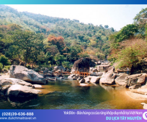 Khám phá bí mật rừng khộp Yok Đôn: Khi thiên nhiên kể chuyện