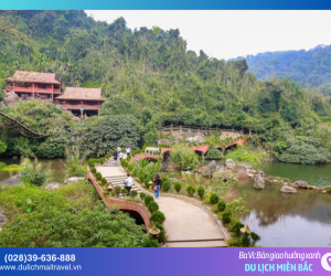 Chạm vào sương mây, thức giấc giữa đại ngàn Ba Vì