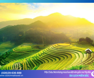 Mộc Châu – Bản tình ca ngọt ngào của mây ngàn và gió núi