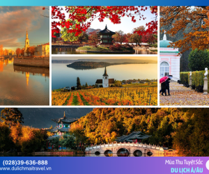 Khám Phá Mùa Thu Tuyệt Sắc Điểm Đến Tự Túc Ngắm Lá Vàng Lý Tưởng