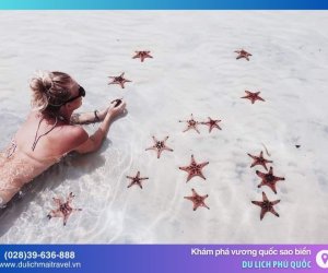 Bãi Sao Phú Quốc - Bãi Biển Lý Tưởng Khám Phá Đảo Ngọc
