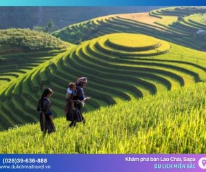 Khám phá bản Lao Chải Sapa, tận hưởng sự yên bình và vẻ đẹp mộc mạc