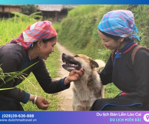 Du lịch Bản Liền Lào Cai: Trải nghiệm thiên nhiên & văn hóa bản địa Tây Bắc