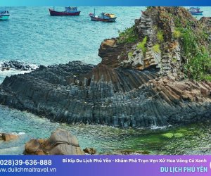 Bí kíp du lịch Phú Yên - Khám phá trọn vẹn xứ hoa vàng cỏ xanh