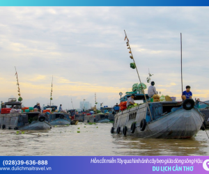 “Cây bẹo” – Phương thức quảng cáo “không lời” độc nhất vô nhị ở Miền Tây