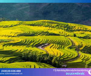 Y Tý (Lào Cai) – “Xứ sở mây ngàn và những ngôi nhà nấm”