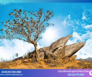 Mỏm Cá Heo Tà Xùa: Tuyệt tác “sống ảo” giữa biển mây Tây Bắc