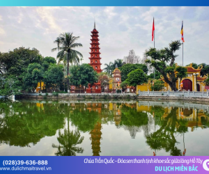 Vãn cảnh chùa Trấn Quốc: Tìm về khoảng lặng bình yên bên sóng nước Hồ Tây