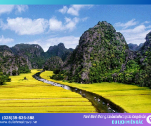 Chiêm bái vùng đất di sản Ninh Bình những ngày tháng 3 rộn ràng lễ hội