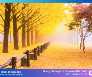 Cập nhật điểm ngắm lá đỏ đẹp nhất Hàn Quốc | Mới Nhất 2024